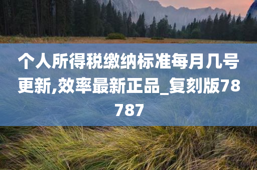 个人所得税缴纳标准每月几号更新,效率最新正品_复刻版78787