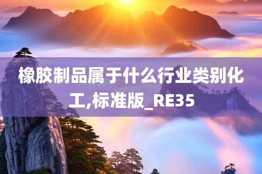 橡胶制品属于什么行业类别化工,标准版_RE35