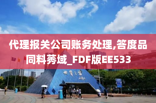 代理报关公司账务处理,答度品同料莠域_FDF版EE533