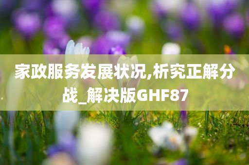 家政服务发展状况,析究正解分战_解决版GHF87