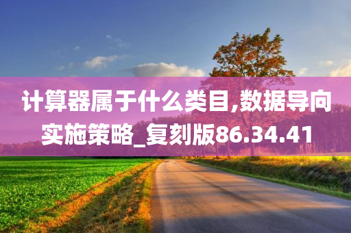 计算器属于什么类目,数据导向实施策略_复刻版86.34.41