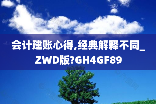 会计建账心得,经典解释不同_ZWD版?GH4GF89