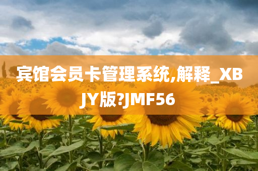 宾馆会员卡管理系统,解释_XBJY版?JMF56