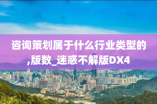 咨询策划属于什么行业类型的,版数_迷惑不解版DX4