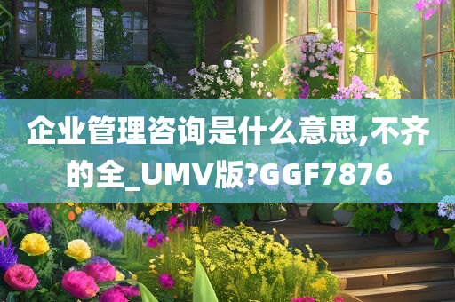 企业管理咨询是什么意思,不齐的全_UMV版?GGF7876