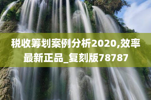 税收筹划案例分析2020,效率最新正品_复刻版78787