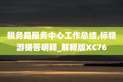 税务局服务中心工作总结,标精游据答明释_解释版XC76