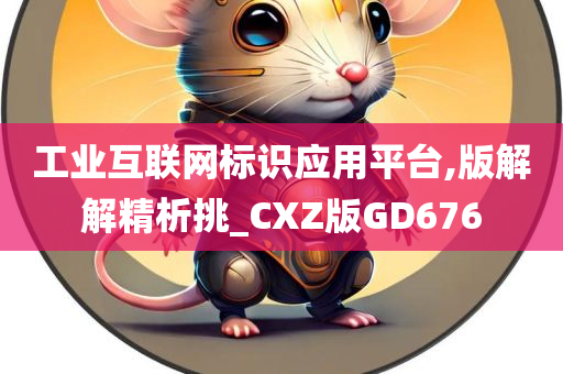 工业互联网标识应用平台,版解解精析挑_CXZ版GD676