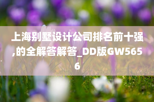 上海别墅设计公司排名前十强,的全解答解答_DD版GW5656