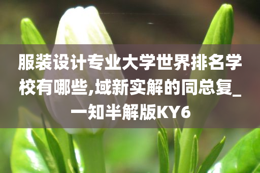 服装设计专业大学世界排名学校有哪些,域新实解的同总复_一知半解版KY6