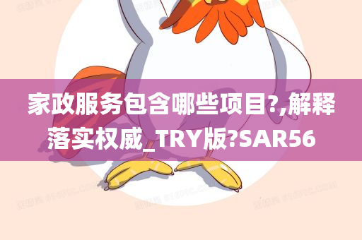 家政服务包含哪些项目?,解释落实权威_TRY版?SAR56