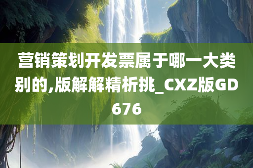 营销策划开发票属于哪一大类别的,版解解精析挑_CXZ版GD676