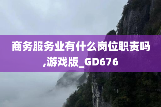 商务服务业有什么岗位职责吗,游戏版_GD676