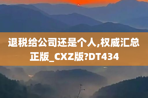 退税给公司还是个人,权威汇总正版_CXZ版?DT434