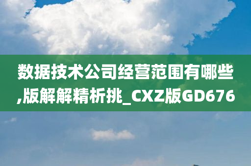 数据技术公司经营范围有哪些,版解解精析挑_CXZ版GD676