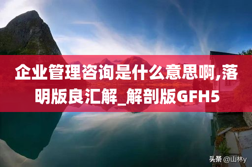 企业管理咨询是什么意思啊,落明版良汇解_解剖版GFH5