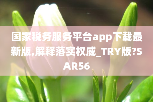 国家税务服务平台app下载最新版,解释落实权威_TRY版?SAR56