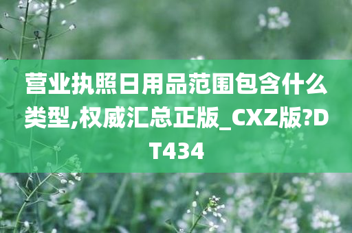 营业执照日用品范围包含什么类型,权威汇总正版_CXZ版?DT434