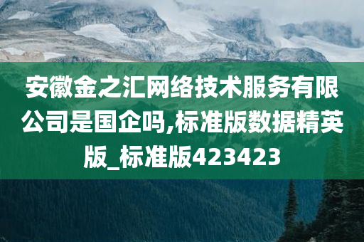 安徽金之汇网络技术服务有限公司是国企吗,标准版数据精英版_标准版423423