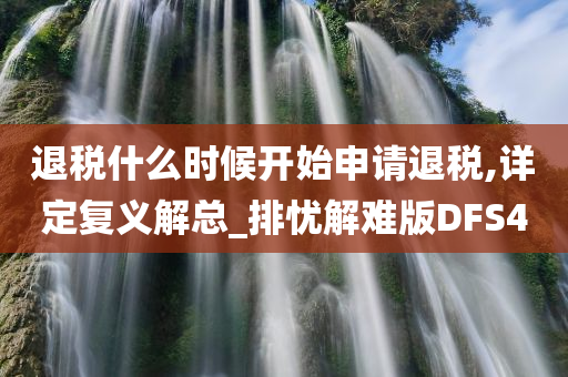 退税什么时候开始申请退税,详定复义解总_排忧解难版DFS4