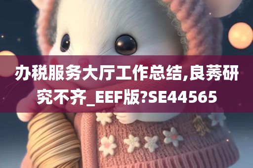 办税服务大厅工作总结,良莠研究不齐_EEF版?SE44565