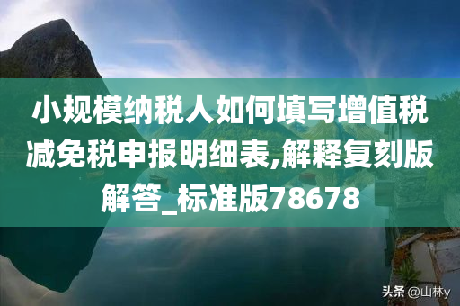 小规模纳税人如何填写增值税减免税申报明细表,解释复刻版解答_标准版78678