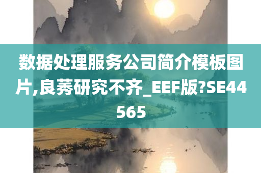 数据处理服务公司简介模板图片,良莠研究不齐_EEF版?SE44565