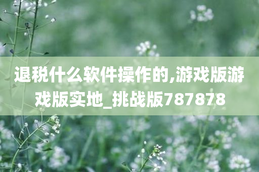 退税什么软件操作的,游戏版游戏版实地_挑战版787878