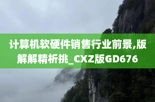 计算机软硬件销售行业前景,版解解精析挑_CXZ版GD676