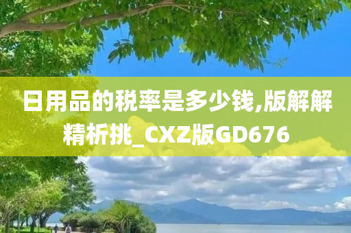 日用品的税率是多少钱,版解解精析挑_CXZ版GD676