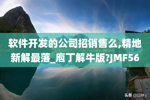 软件开发的公司招销售么,精地新解最落_庖丁解牛版?JMF56