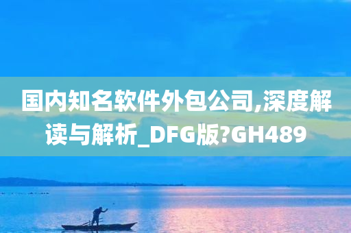 国内知名软件外包公司,深度解读与解析_DFG版?GH489