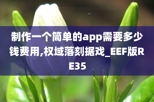 制作一个简单的app需要多少钱费用,权域落刻据戏_EEF版RE35