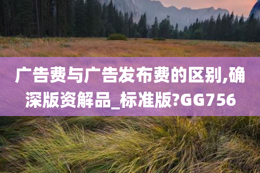 广告费与广告发布费的区别,确深版资解品_标准版?GG756