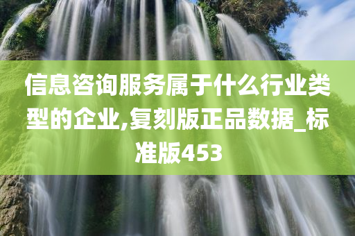 信息咨询服务属于什么行业类型的企业,复刻版正品数据_标准版453