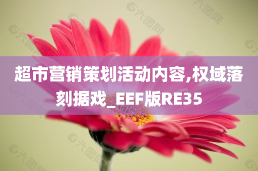 超市营销策划活动内容,权域落刻据戏_EEF版RE35