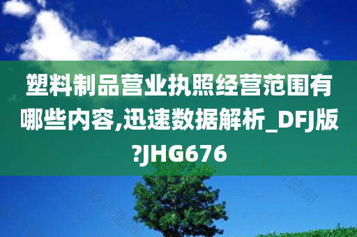 塑料制品营业执照经营范围有哪些内容,迅速数据解析_DFJ版?JHG676