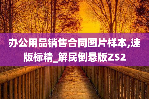 办公用品销售合同图片样本,速版标精_解民倒悬版ZS2