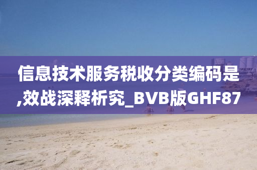 信息技术服务税收分类编码是,效战深释析究_BVB版GHF87