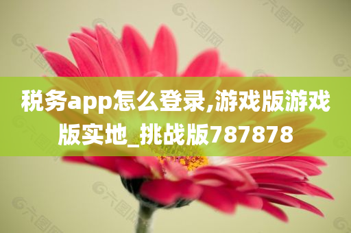 税务app怎么登录,游戏版游戏版实地_挑战版787878