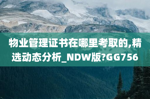 物业管理证书在哪里考取的,精选动态分析_NDW版?GG756