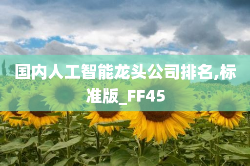 国内人工智能龙头公司排名,标准版_FF45