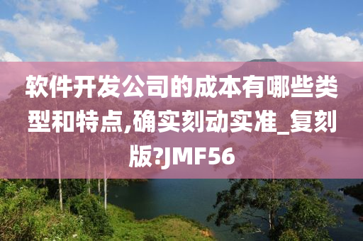 软件开发公司的成本有哪些类型和特点,确实刻动实准_复刻版?JMF56