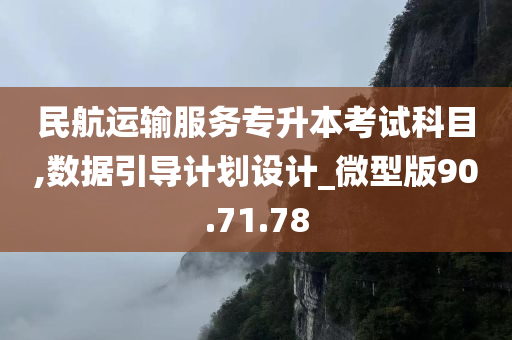 民航运输服务专升本考试科目,数据引导计划设计_微型版90.71.78