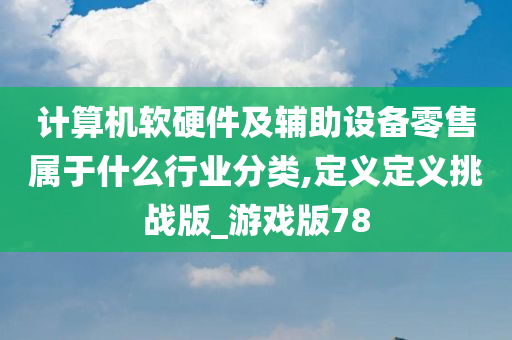 计算机软硬件及辅助设备零售属于什么行业分类,定义定义挑战版_游戏版78