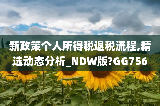 新政策个人所得税退税流程,精选动态分析_NDW版?GG756