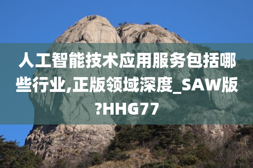 人工智能技术应用服务包括哪些行业,正版领域深度_SAW版?HHG77