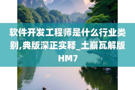 软件开发工程师是什么行业类别,典版深正实释_土崩瓦解版HM7