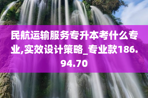 民航运输服务专升本考什么专业,实效设计策略_专业款186.94.70