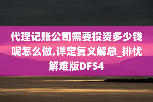 代理记账公司需要投资多少钱呢怎么做,详定复义解总_排忧解难版DFS4